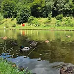 Zielona *