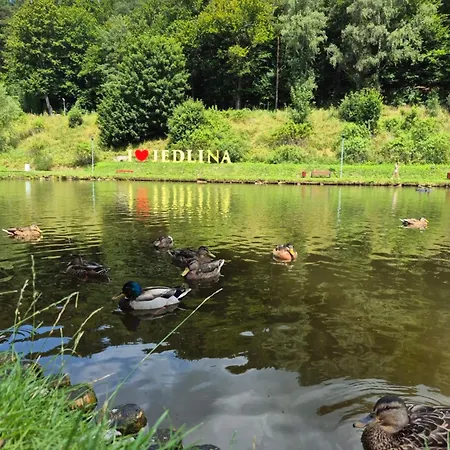 Zielona *