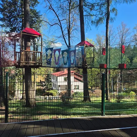Zielona *